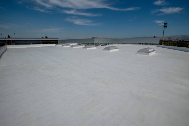 Best Steel Roofing  in Oak Grove, TN
